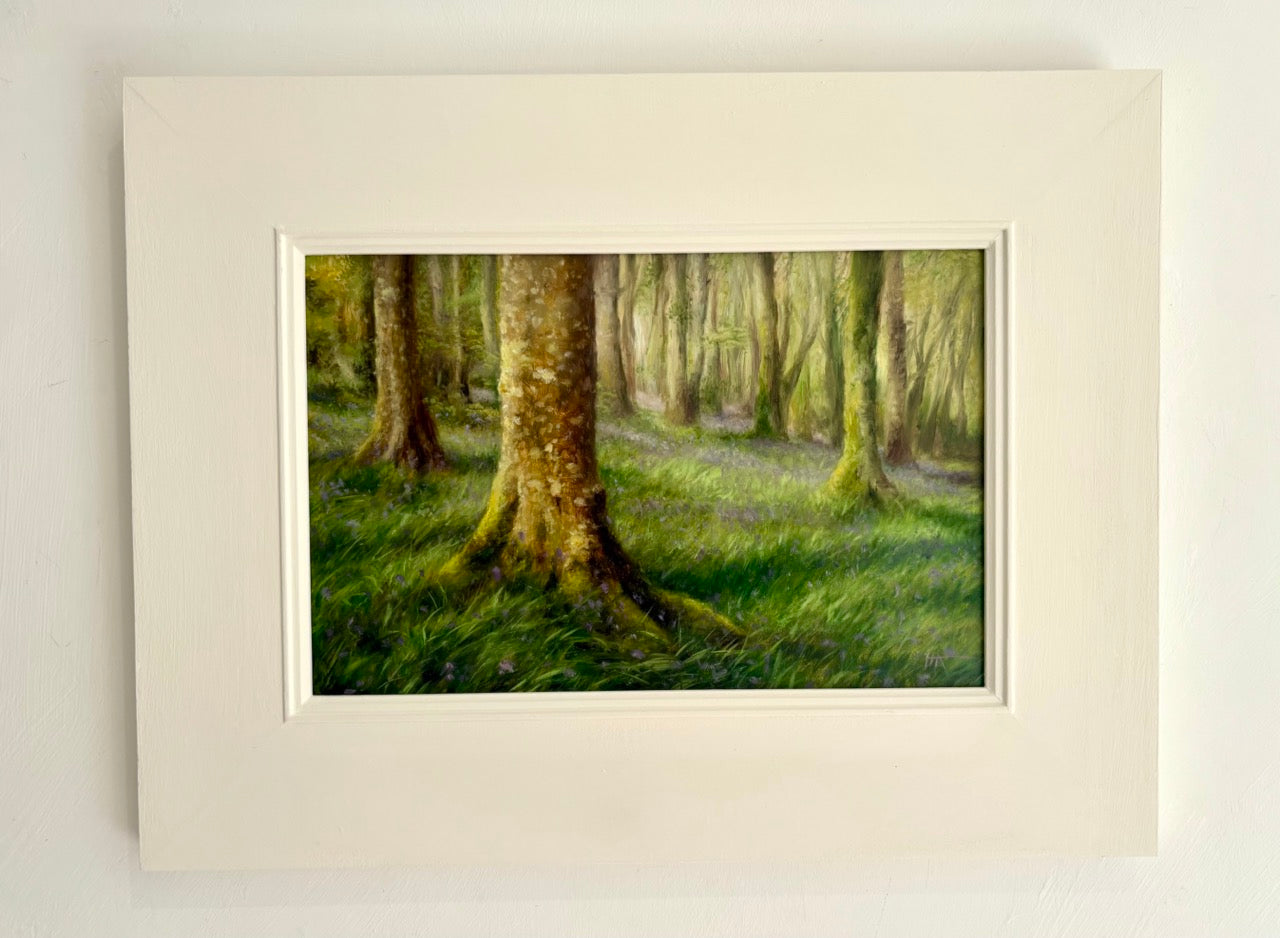 Bosahan Bluebells
