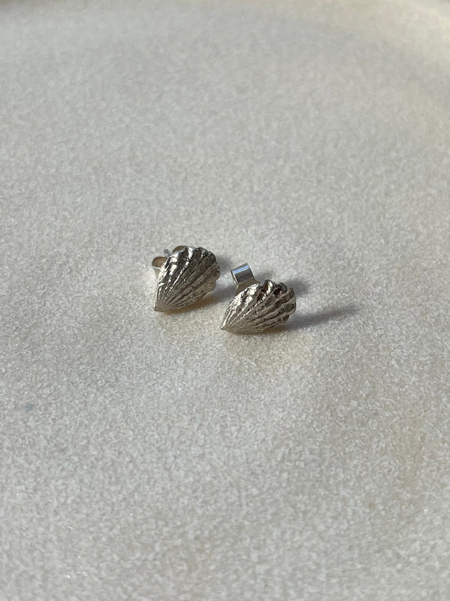 Silver Shell stud earrings