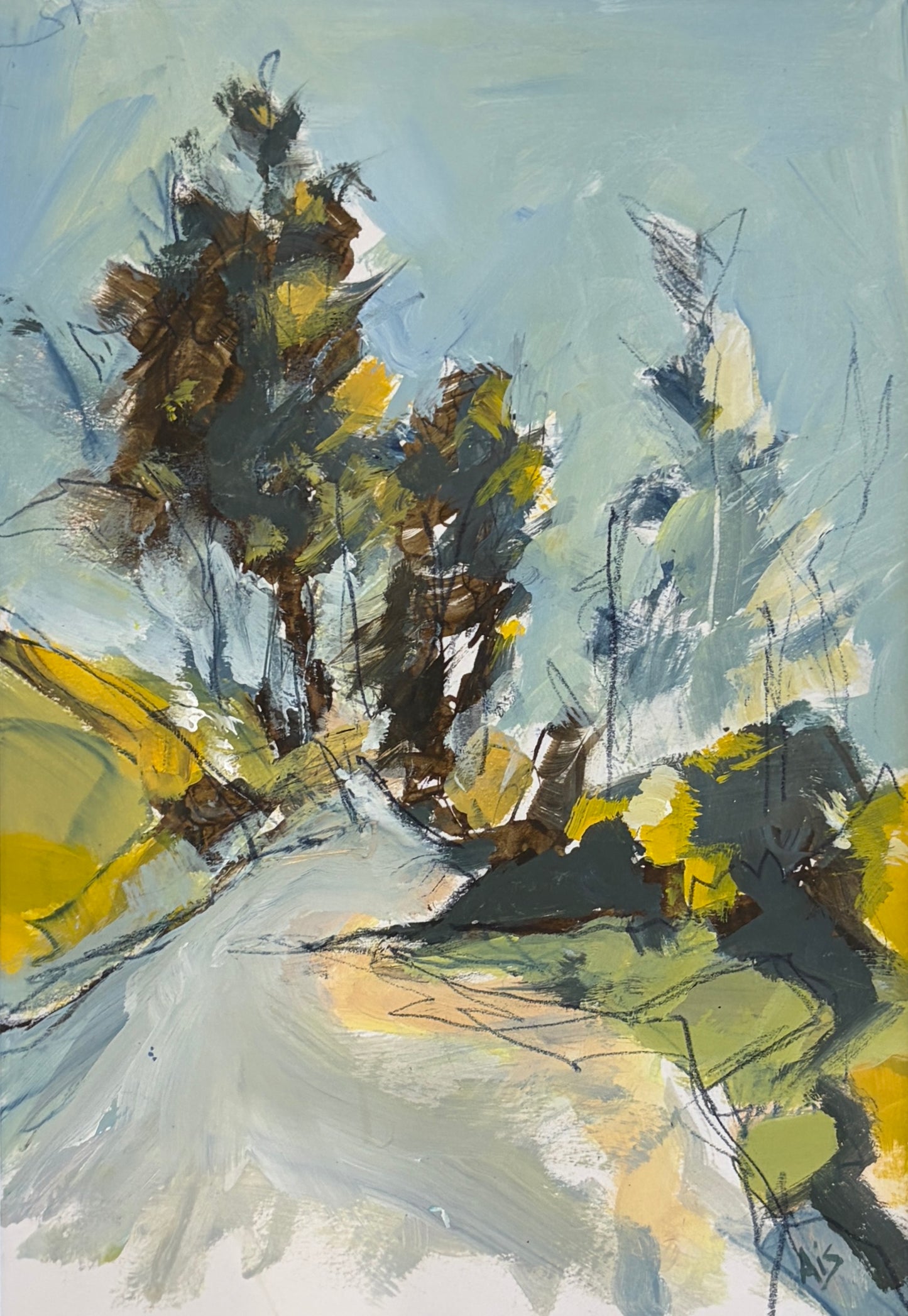 Gorse Flower Path