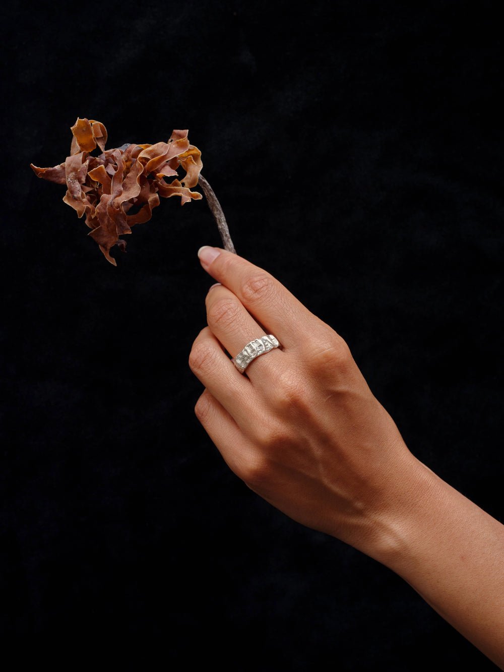 Cockle Wide Ring - Emily Nixon - Beside The Wave