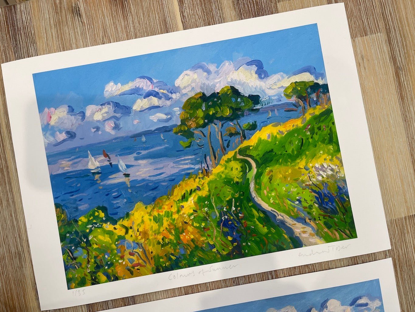 Colours of Summer - Andrew Tozer - Beside The Wave