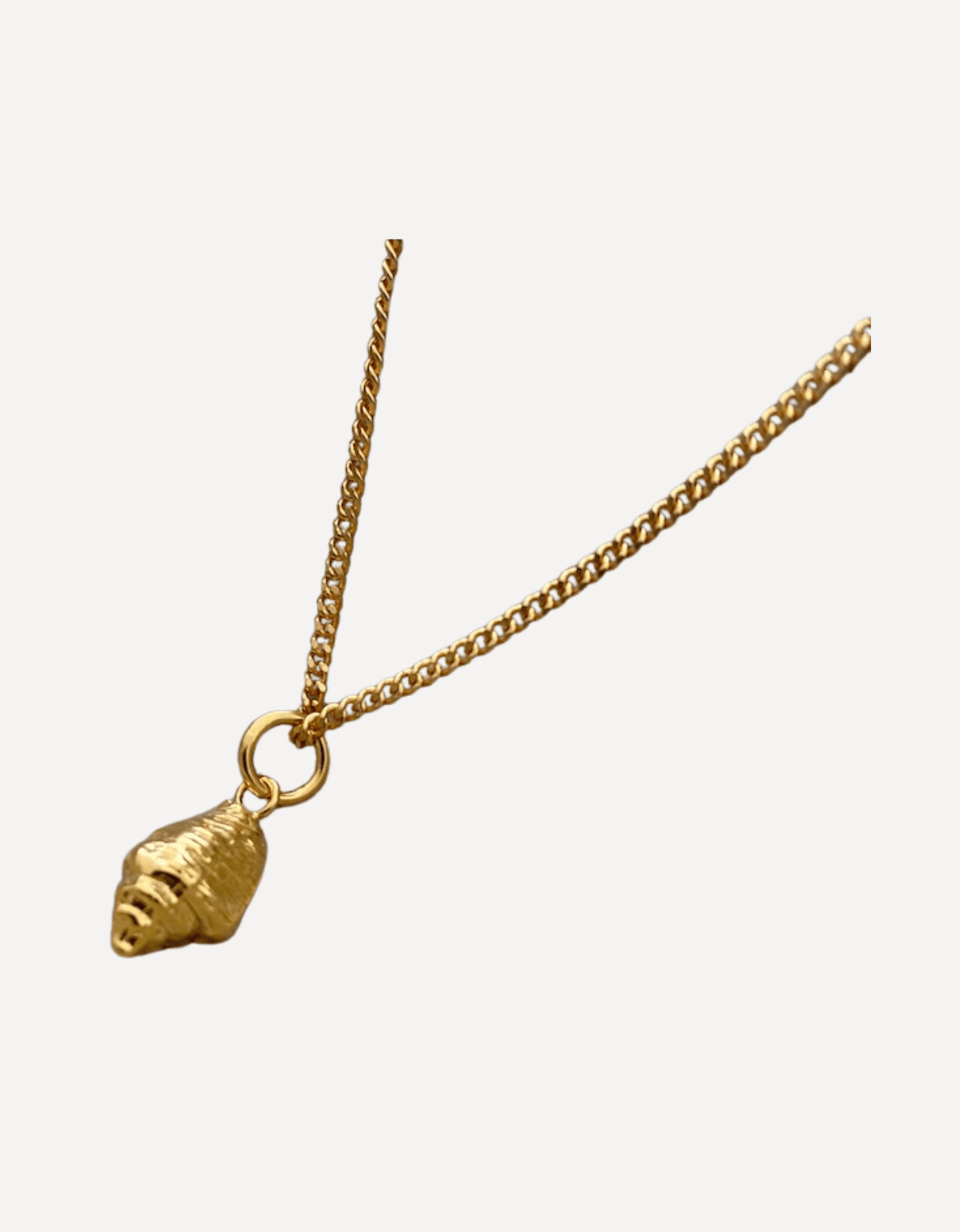 Cornish Whelk Charm - Emily Nott - Bower - Beside The Wave