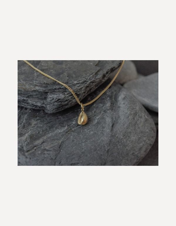 Cowrie Bay II Charm - Emily Nott - Bower - Beside The Wave