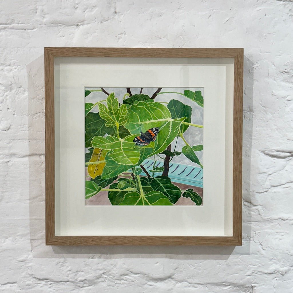 Fig Tree - Hugo Jones - Beside The Wave
