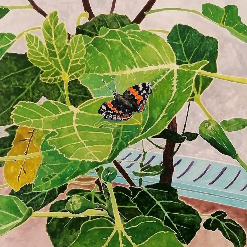 Fig Tree - Hugo Jones - Beside The Wave