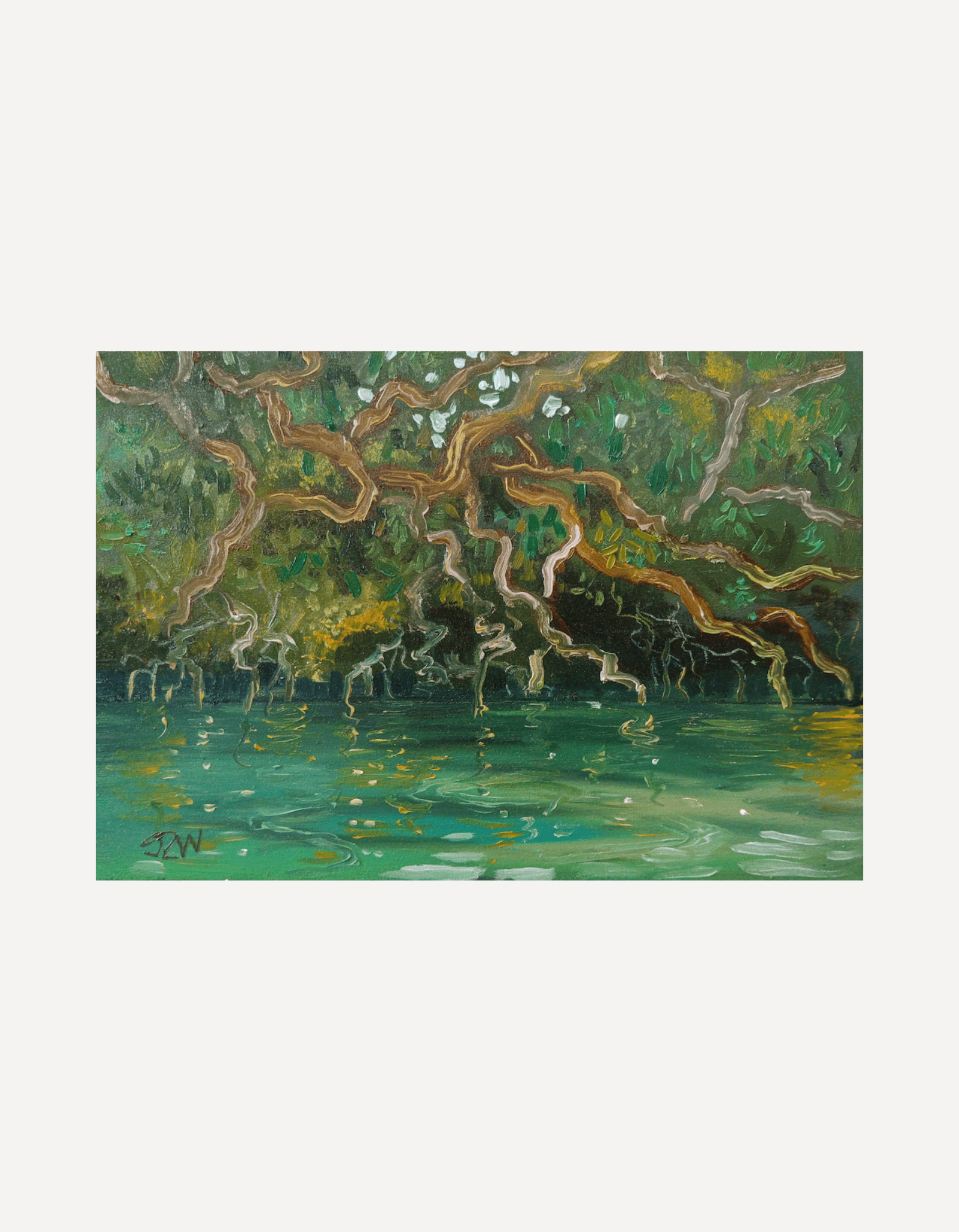 Frenchman's Creek Oak - Sarah Wimperis - Beside The Wave