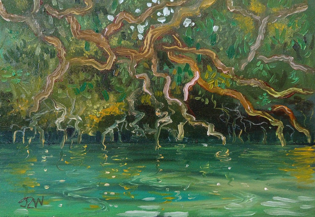 Frenchman's Creek Oak - Sarah Wimperis - Beside The Wave