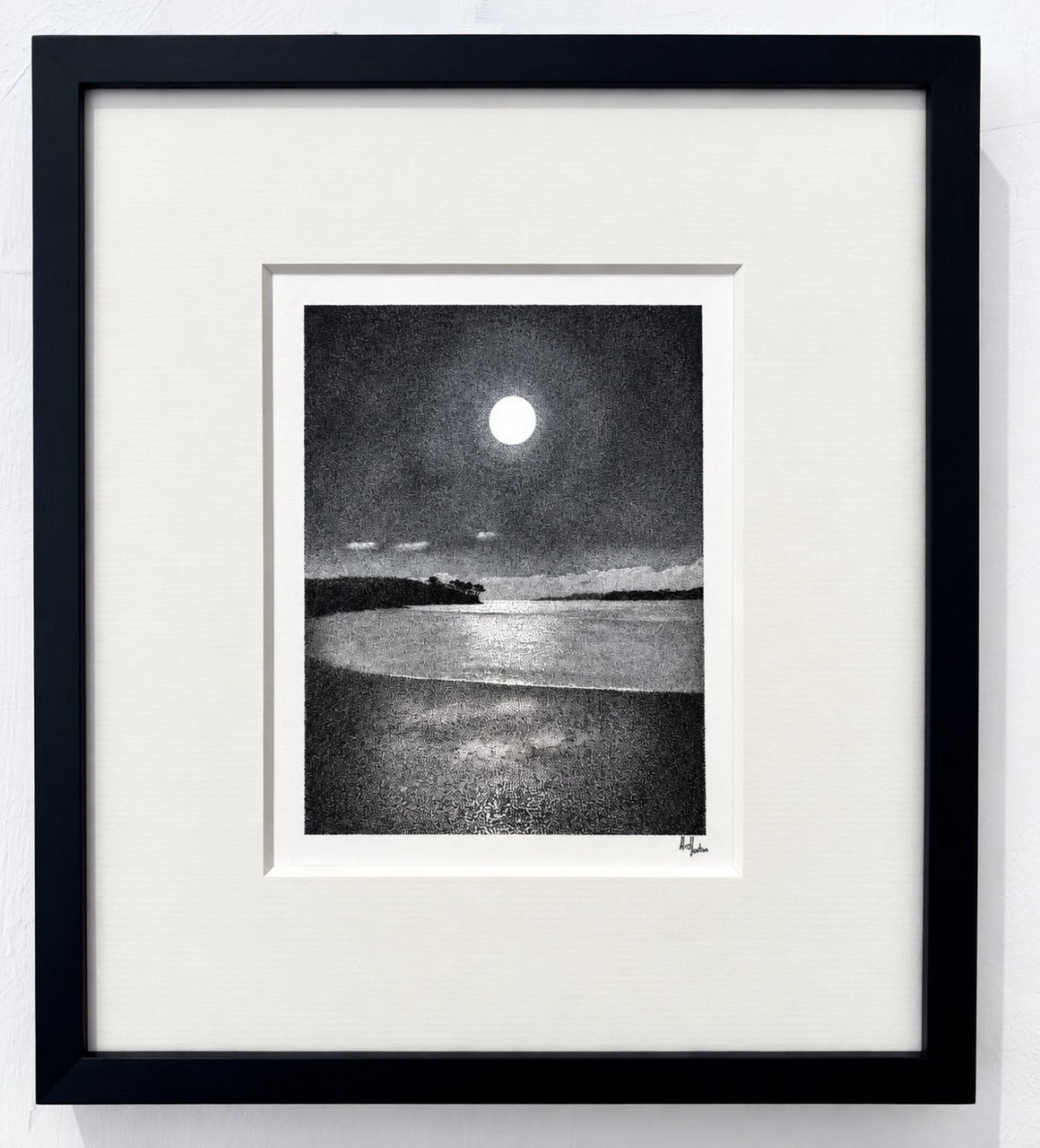 Grebe In The Moonlight-Alex Haxton-Beside The Wave
