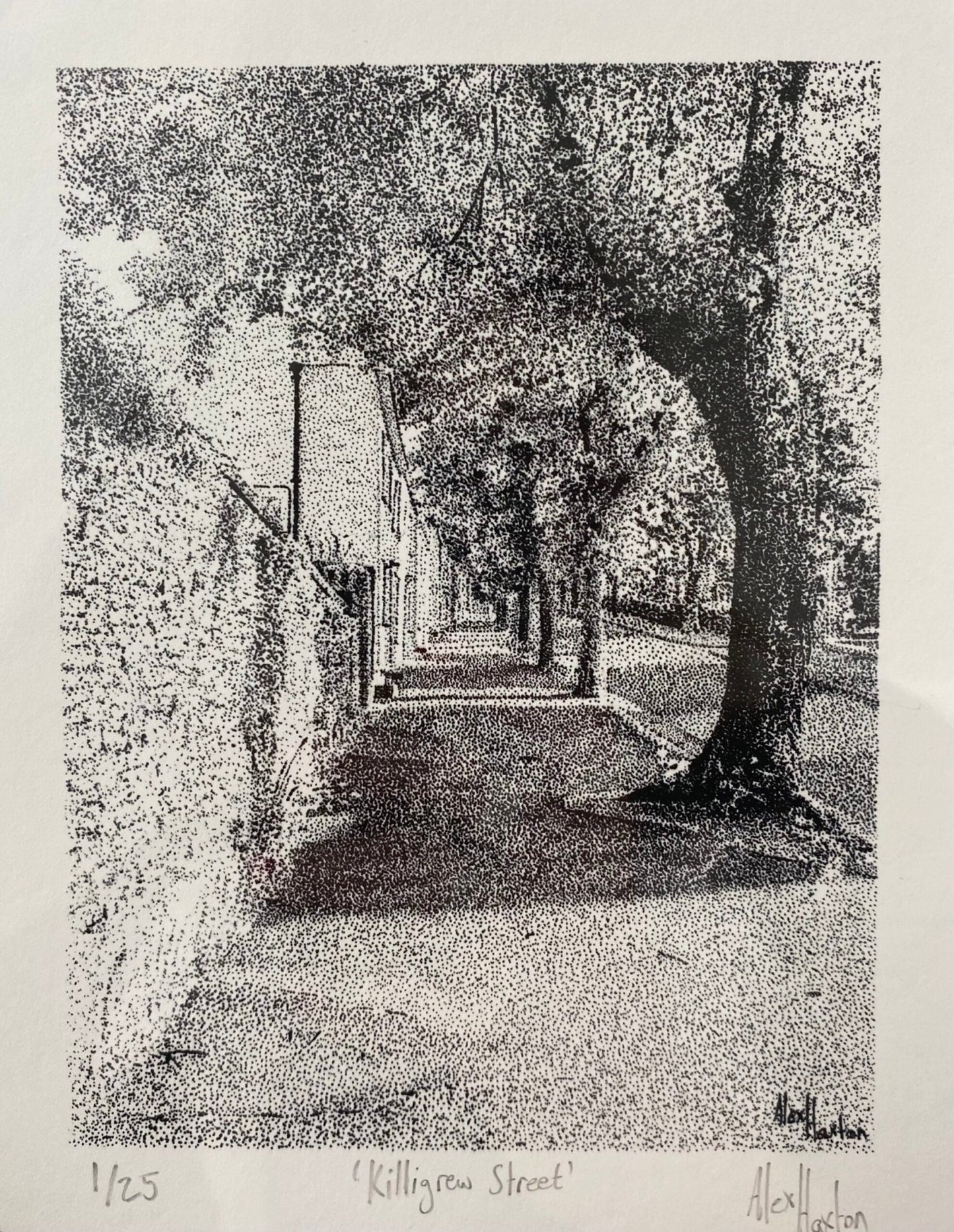 Killigrew Street - Alex Haxton - Beside The Wave