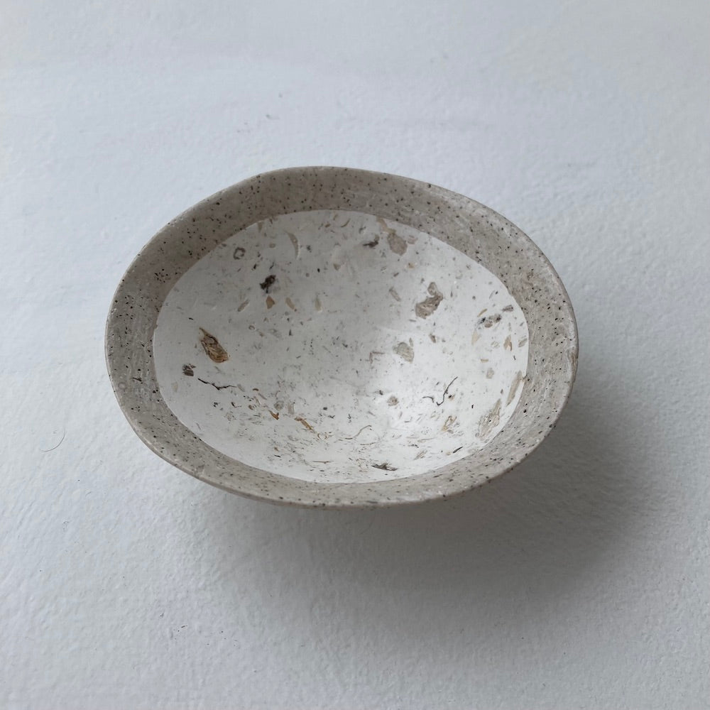 Limpet Trinket Dish I - Hazel Oliver - Beside The Wave