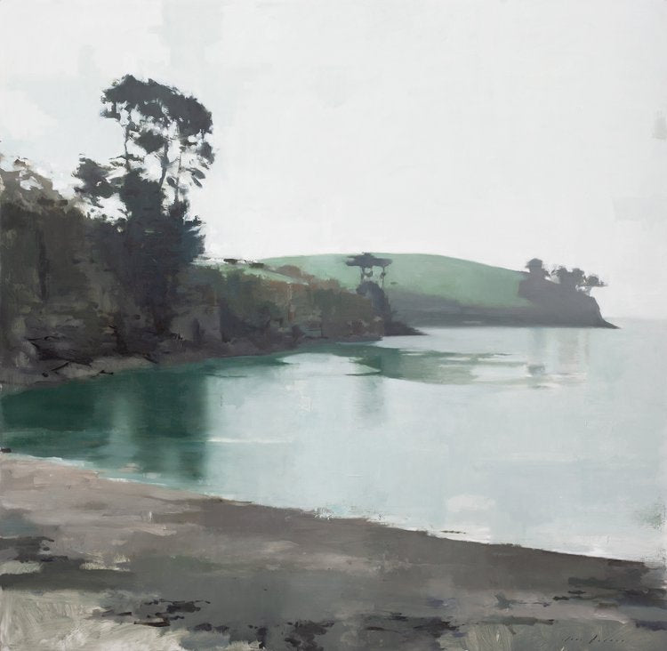 Mist at Grebe Beach - Jon Doran - Beside The Wave