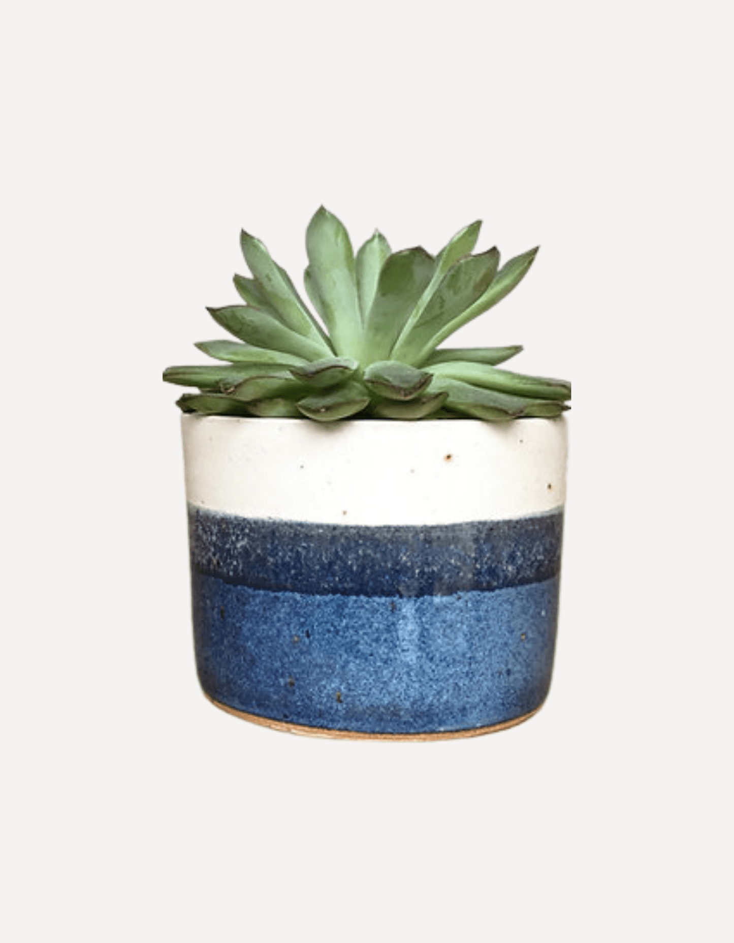 Planter (Sea Foam) - Emily Doran - Beside The Wave