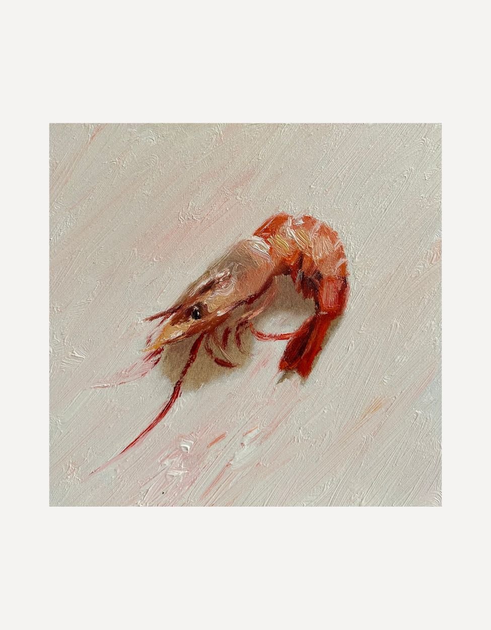 Prawn X - Johnty Robinson - Beside The Wave