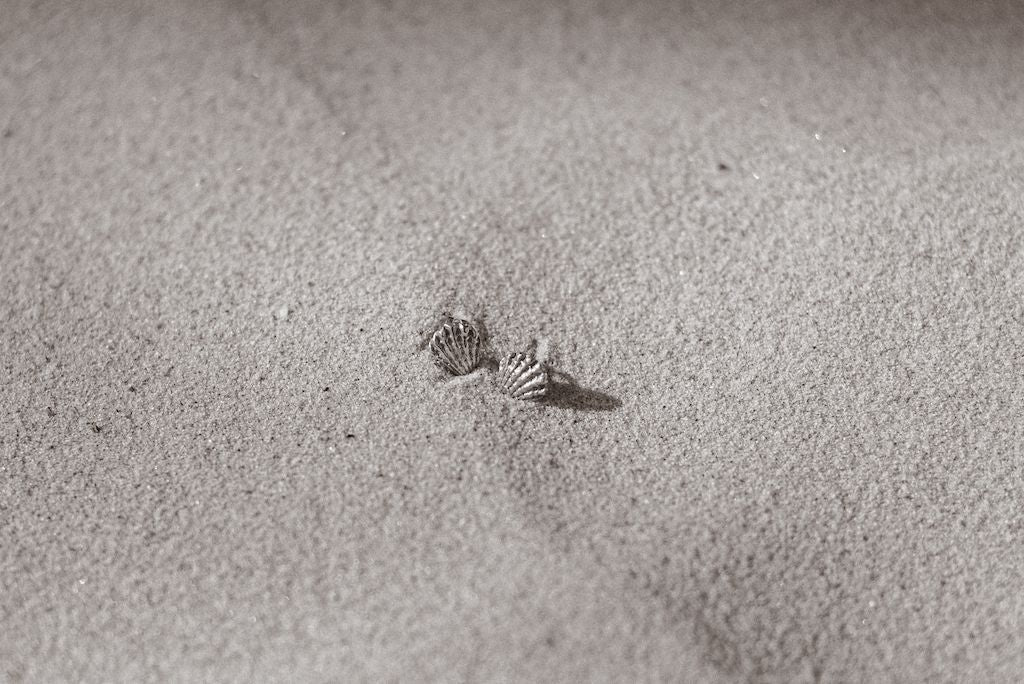 Silver Shell stud earrings - Naomi Lewis - Beside The Wave