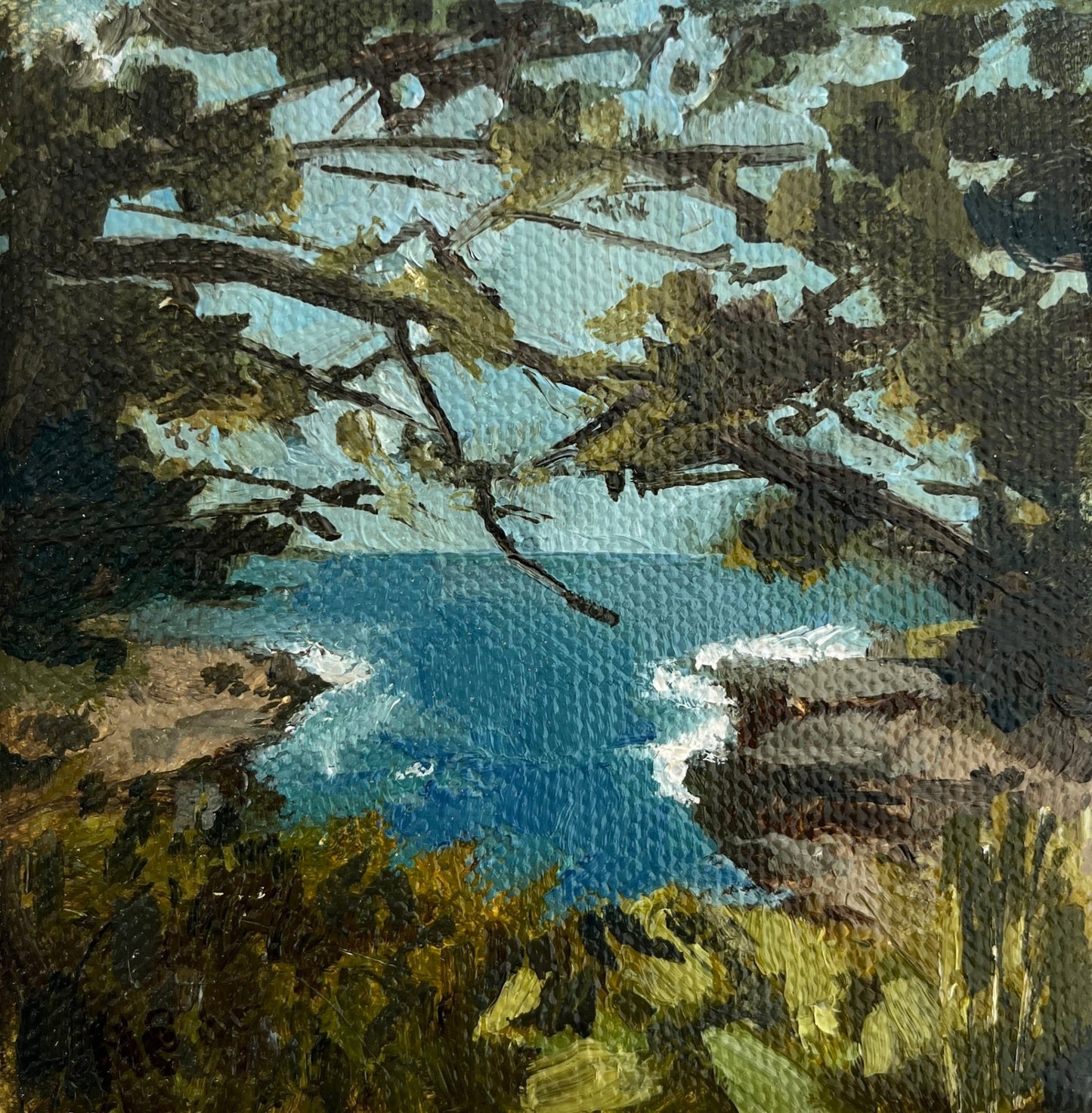 South Coast Dip - Nancy Crewe - Beside The Wave
