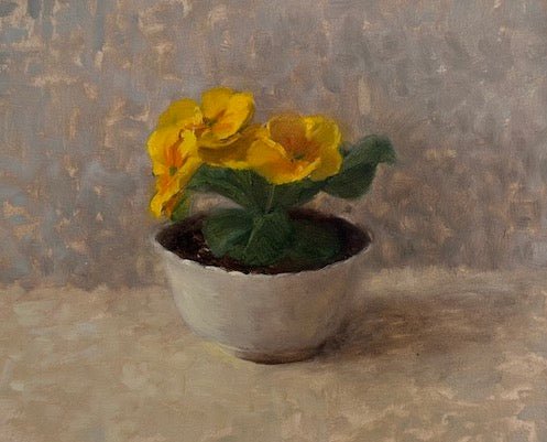 Yellow Primrose - Johnty Robinson - Beside The Wave