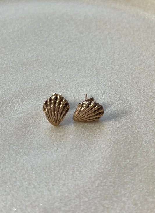 9ct Shell Stud Earrings - Naomi Lewis - Beside The Wave