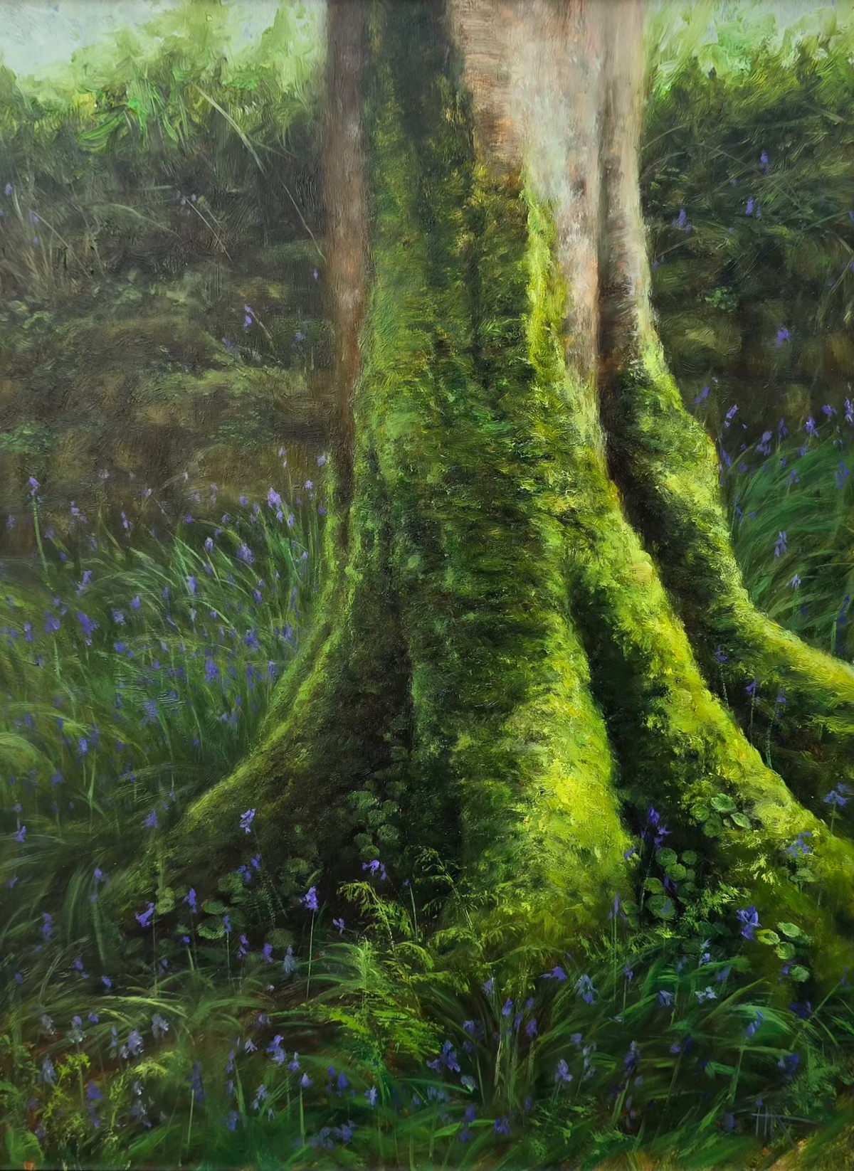 Bluebells By The Old Wall