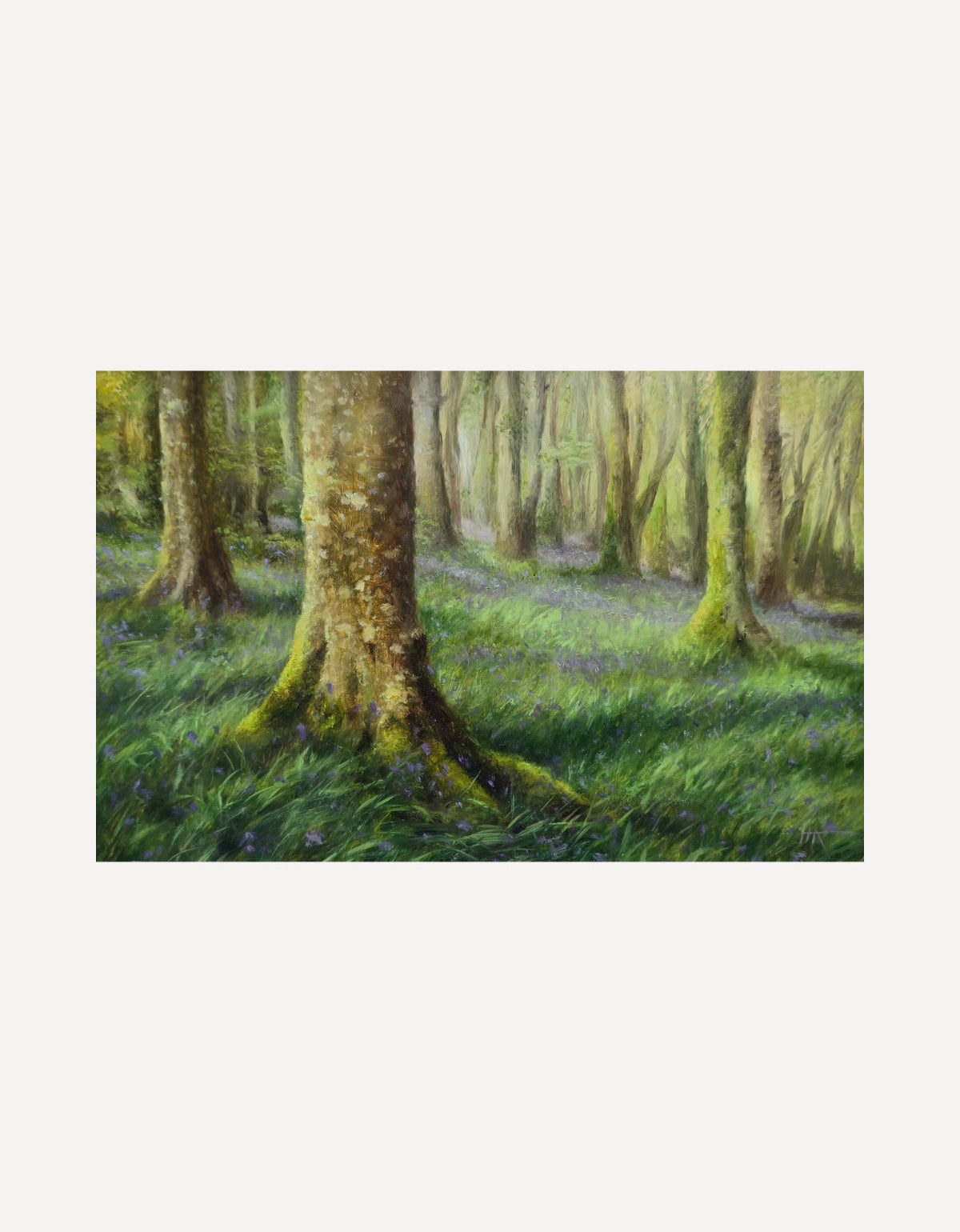 Bosahan Bluebells