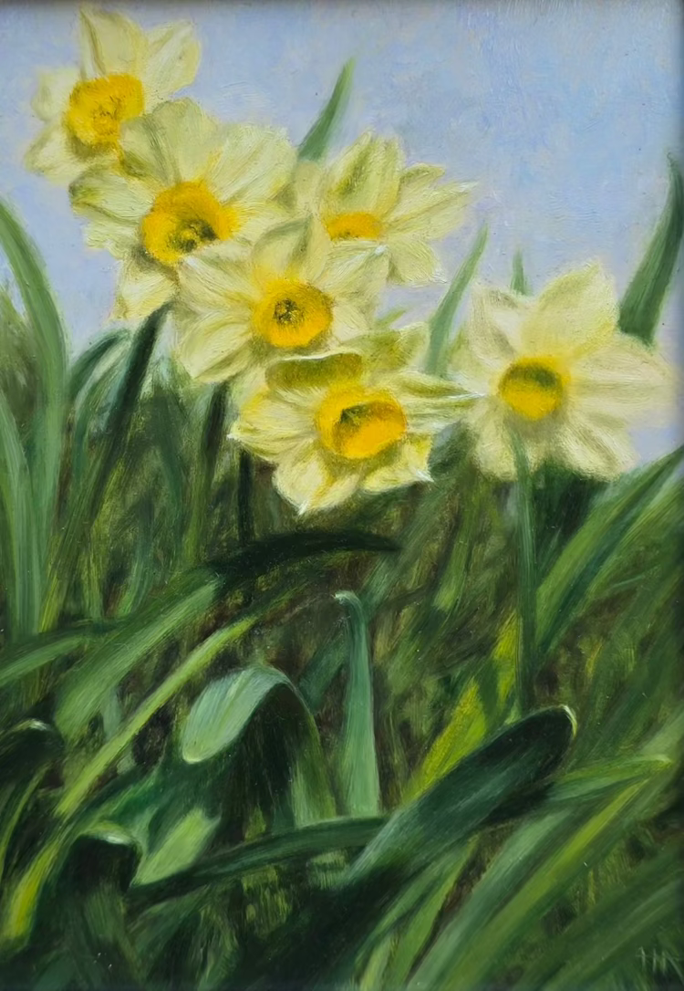 Narcissus Lifting