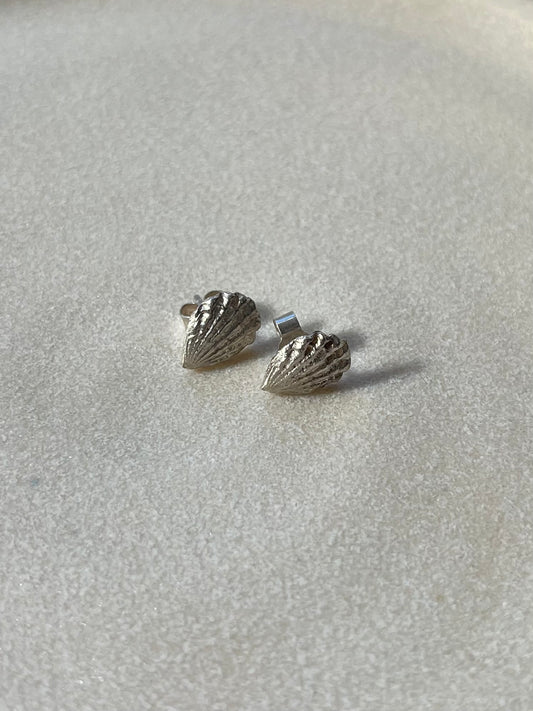 Silver Shell stud earrings