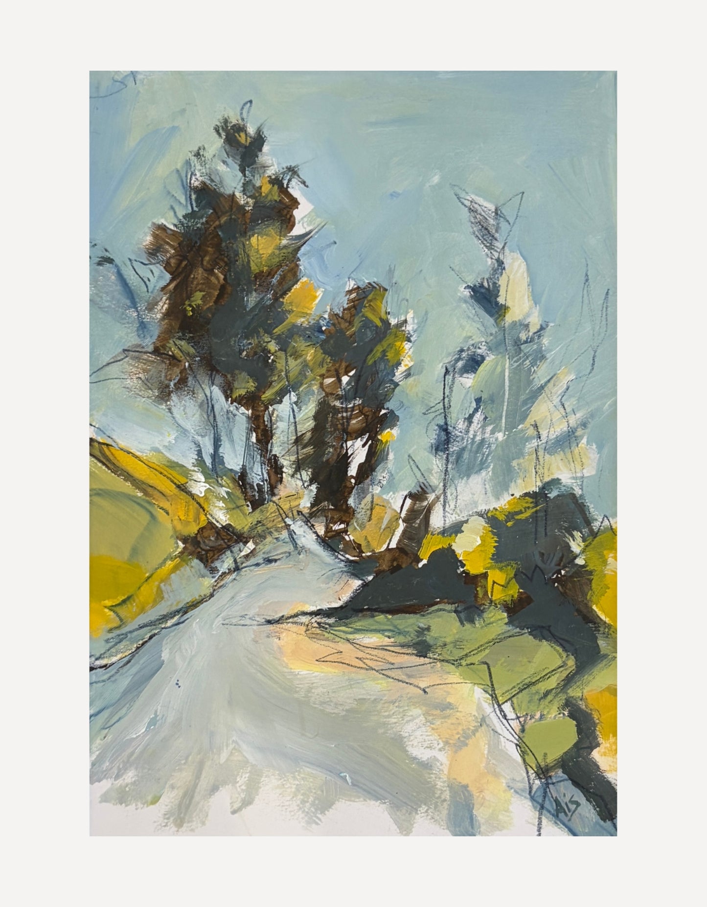 Gorse Flower Path