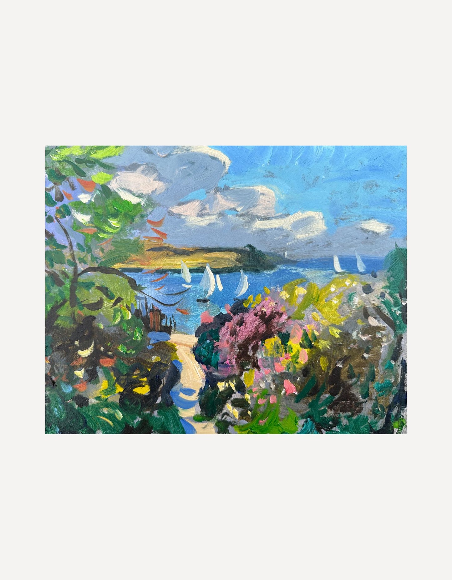 A St Mawes Garden