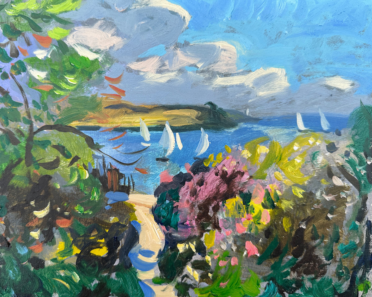 A St Mawes Garden