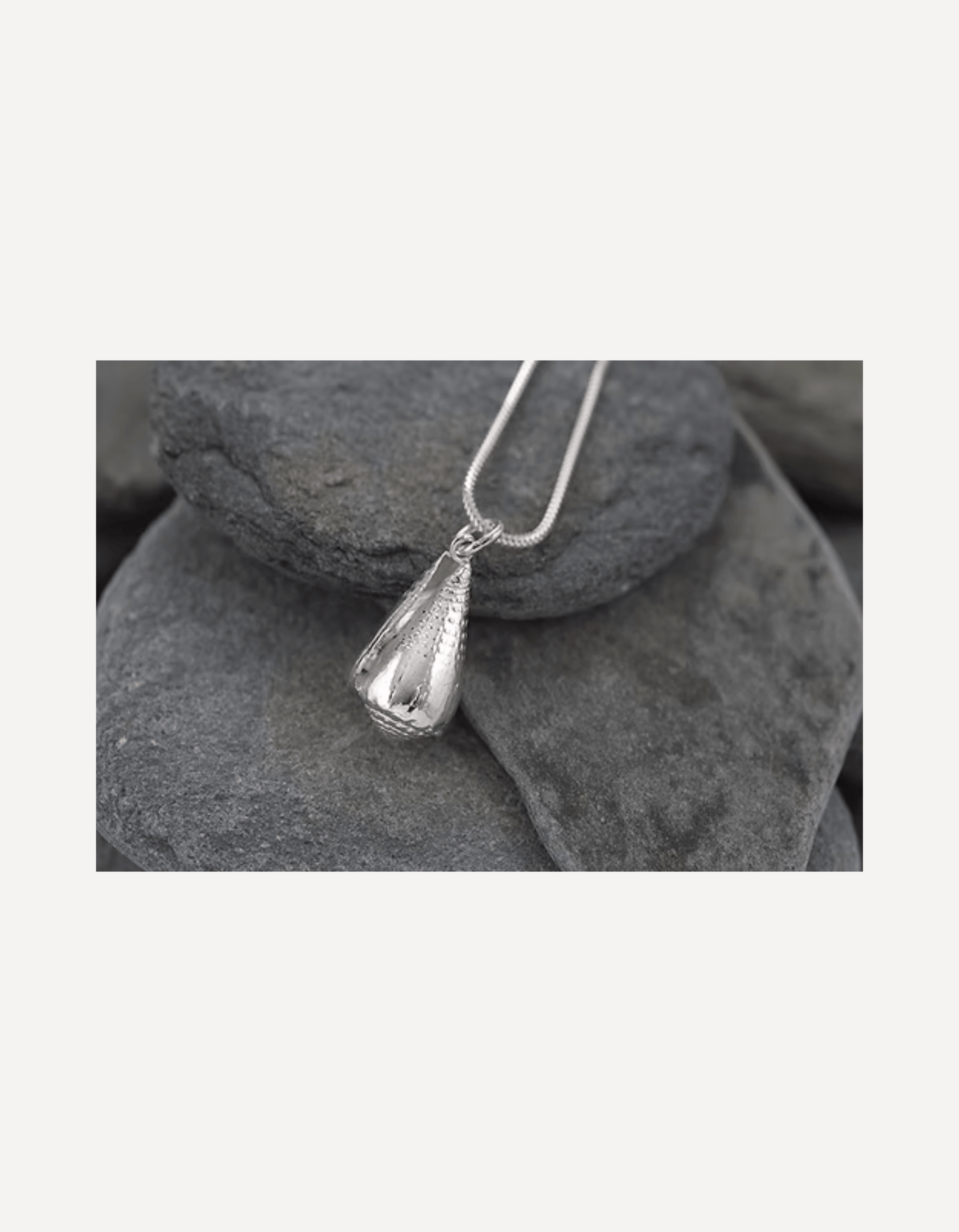 Caribbean Conch Charm - Emily Nott - Bower - Beside The Wave