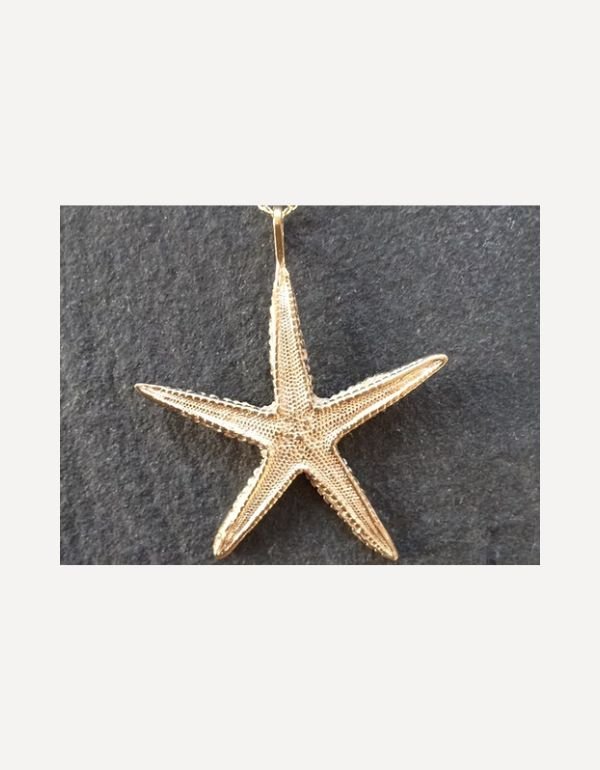 Caribbean Starfish Pendant - Emily Nott - Bower - Beside The Wave