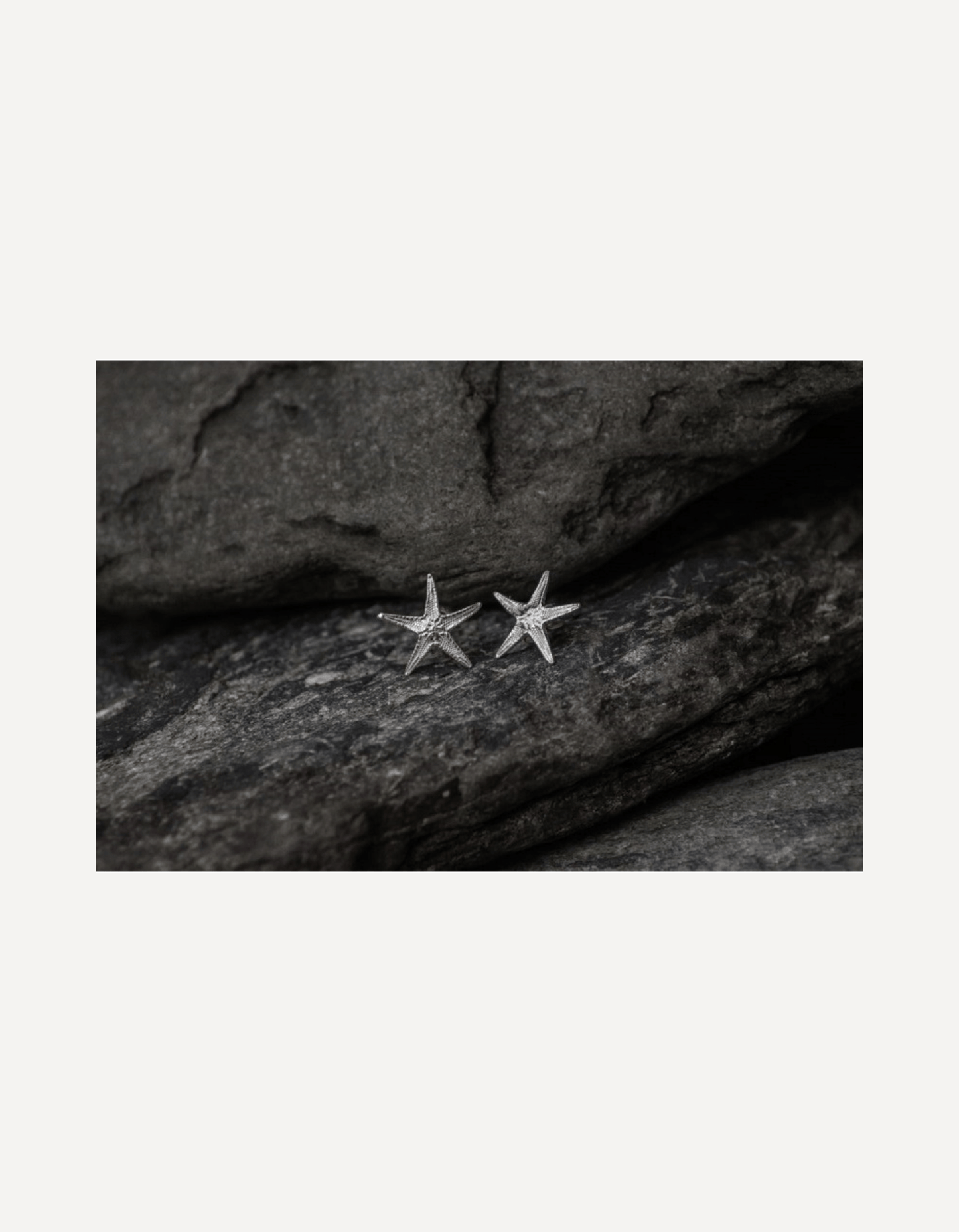 Caribbean Starfish Stud Earrings - Emily Nott - Bower - Beside The Wave