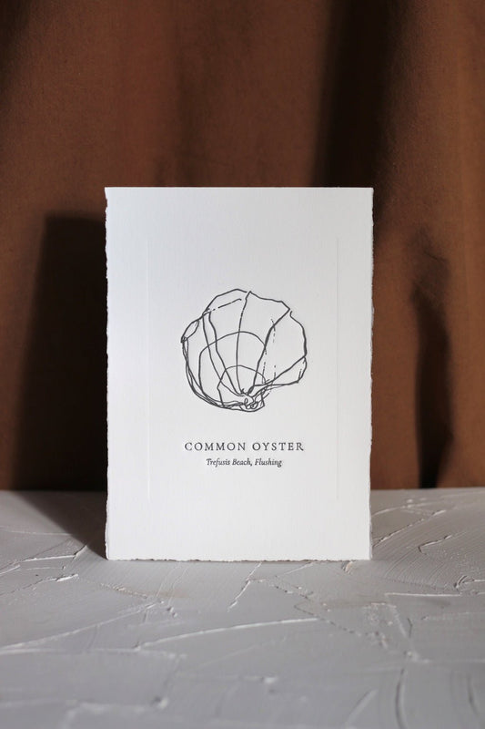 Common Oyster Graphite Debossing - Olivia Lucy - Beside The Wave