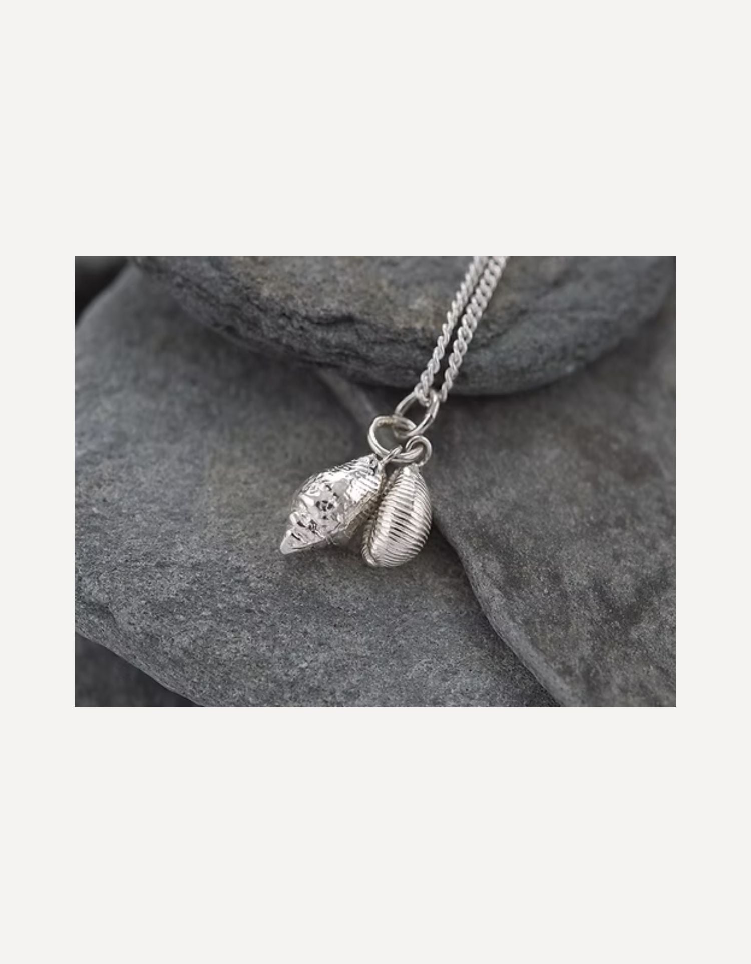 Cowrie and Whelk Cluster-Emily Nott-Bower-Beside The Wave