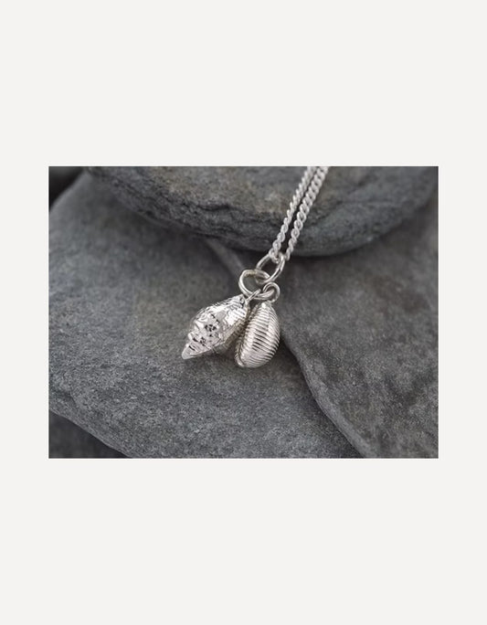 Cowrie and Whelk Cluster-Emily Nott-Bower-Beside The Wave