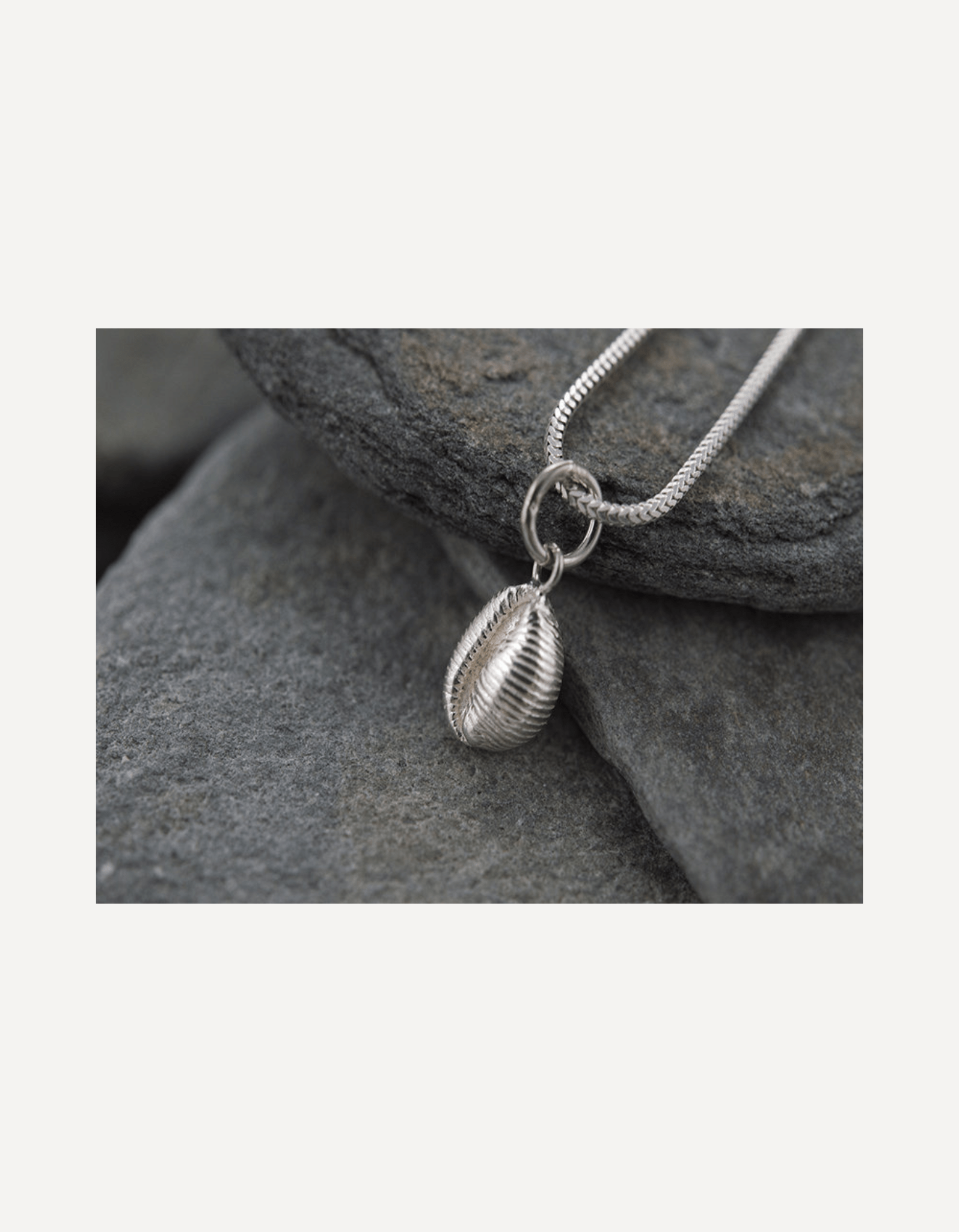 Cowrie Bay Charm - Beside The Wave - Beside The Wave