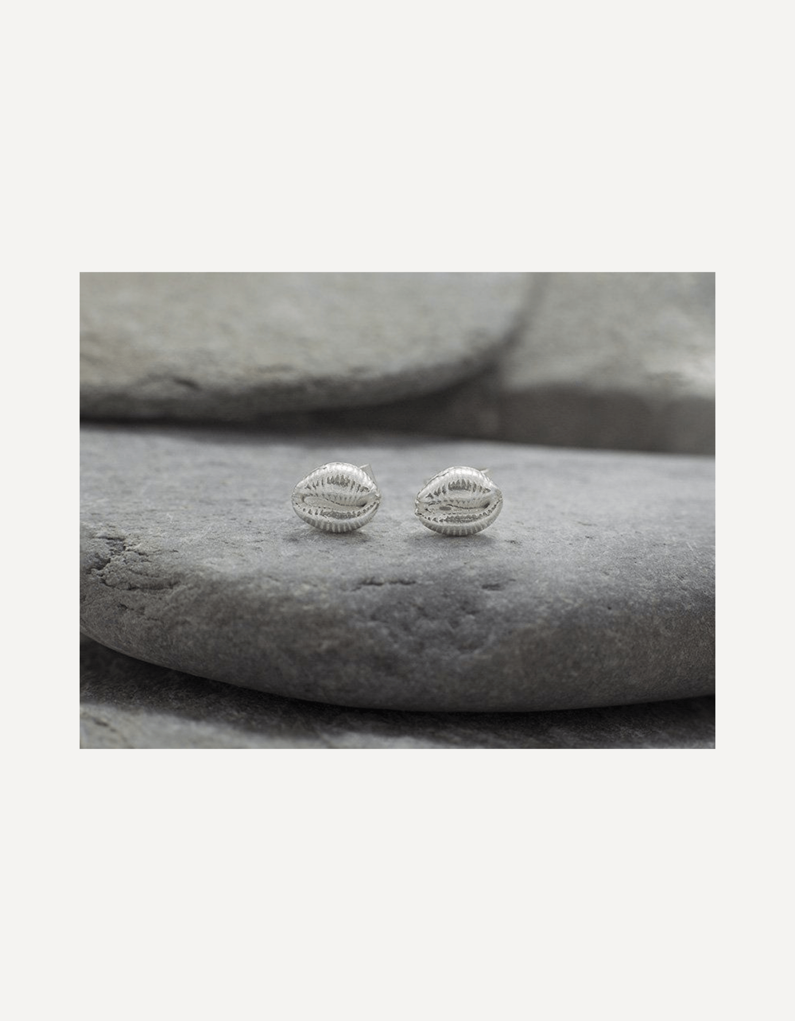 Cowrie Bay Stud Earrings - Emily Nott - Bower - Beside The Wave
