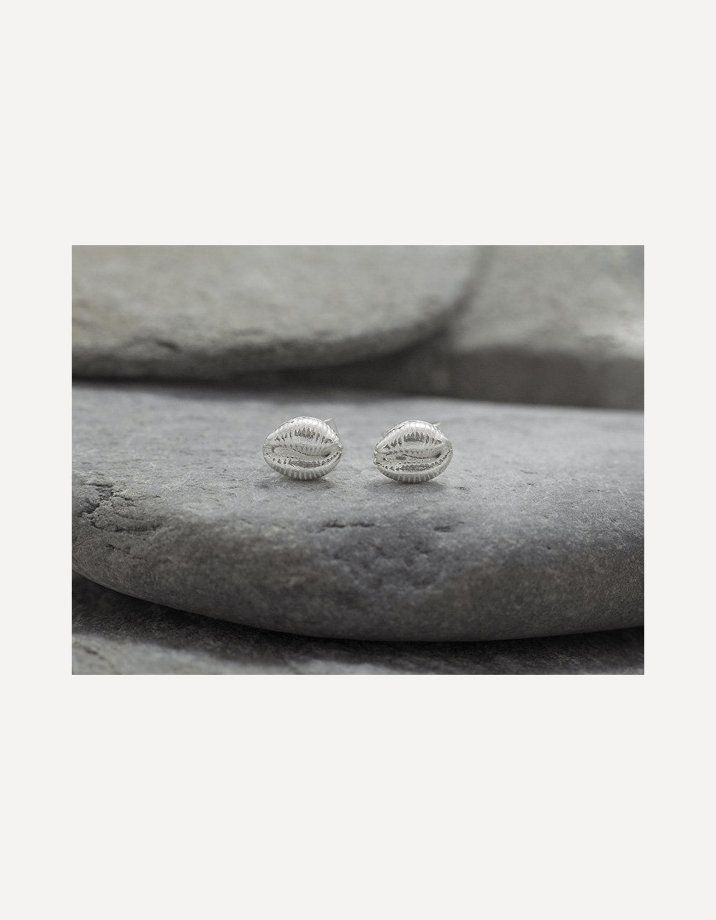 Cowrie Bay Stud Earrings - Emily Nott - Bower - Beside The Wave