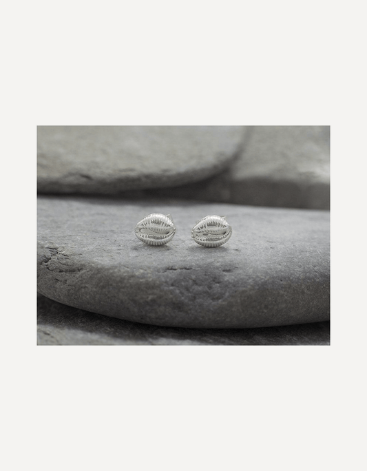 Cowrie Bay Stud Earrings - Emily Nott - Bower - Beside The Wave