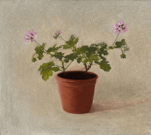 Early Geraniums - Johnty Robinson - Beside The Wave
