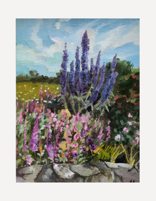 Echiums - Nancy Crewe - Beside The Wave