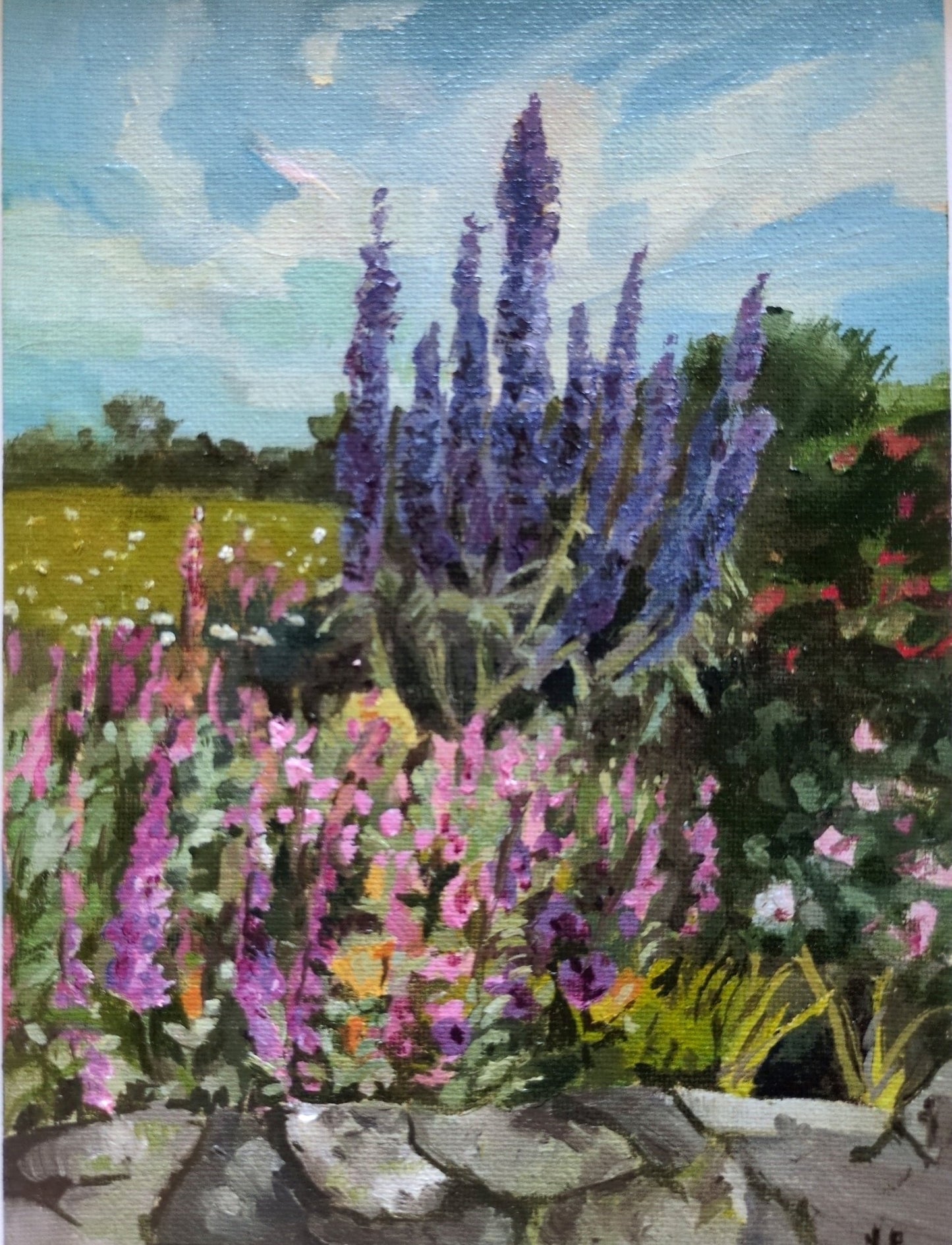 Echiums - Nancy Crewe - Beside The Wave
