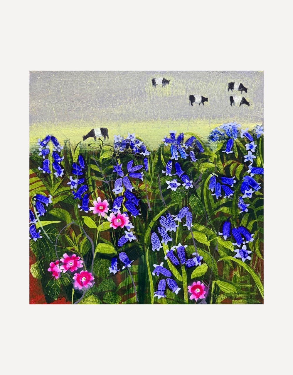 Penwith Cows, Bluebells and Campions