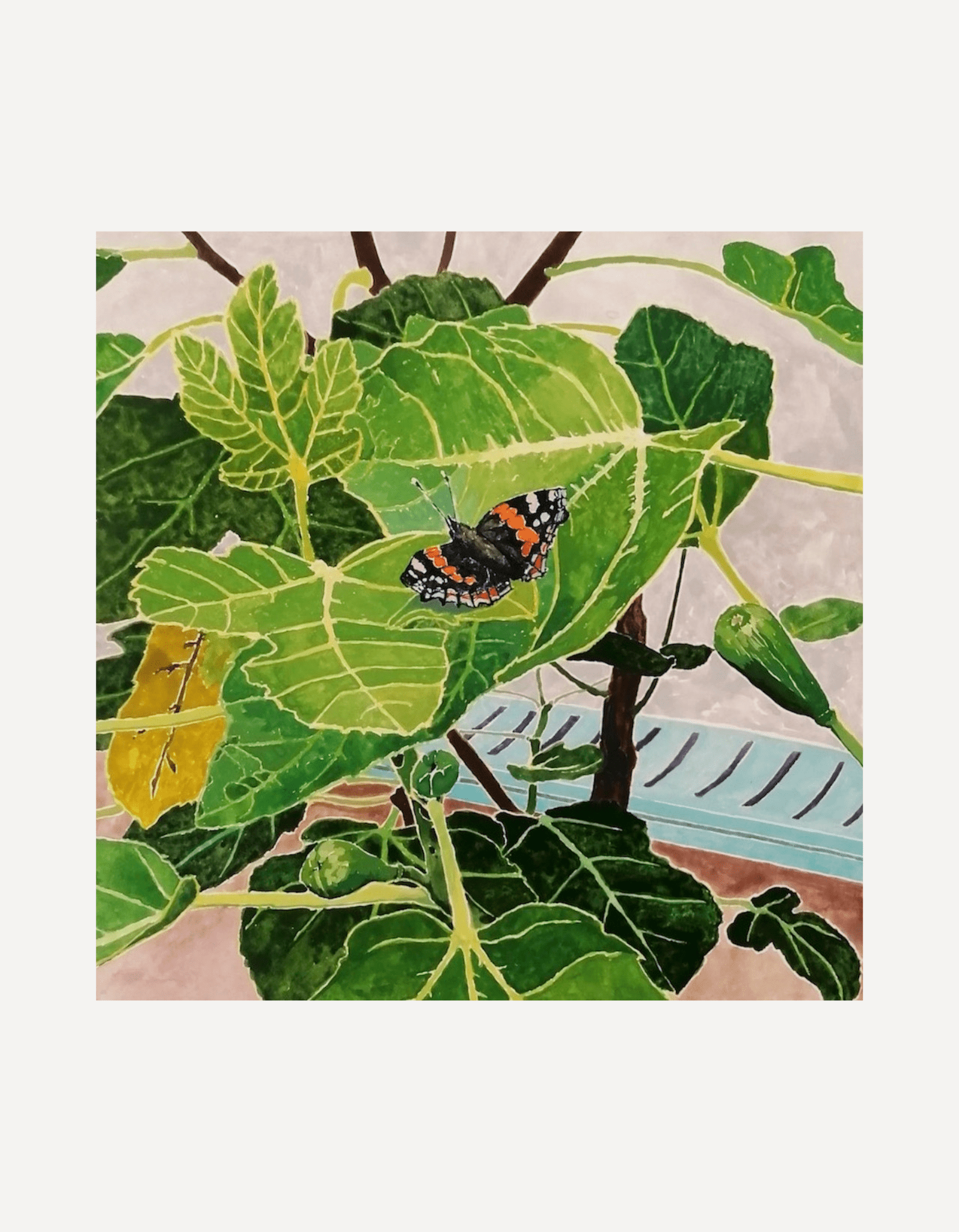 Fig Tree - Hugo Jones - Beside The Wave