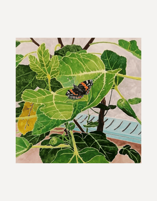 Fig Tree - Hugo Jones - Beside The Wave