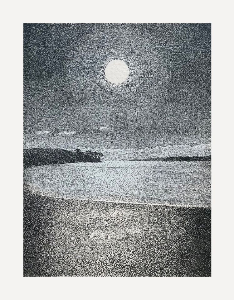 Grebe In The Moonlight-Alex Haxton-Beside The Wave