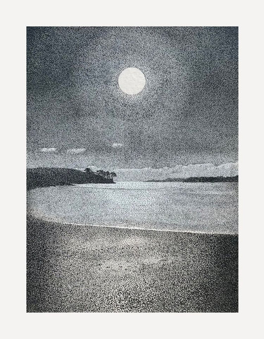 Grebe In The Moonlight-Alex Haxton-Beside The Wave