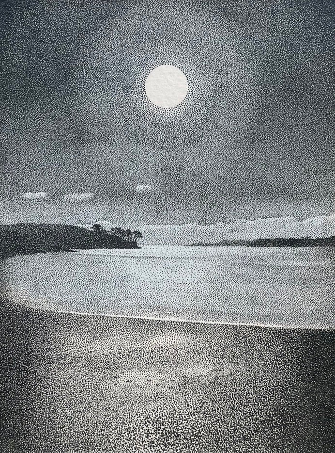 Grebe In The Moonlight-Alex Haxton-Beside The Wave