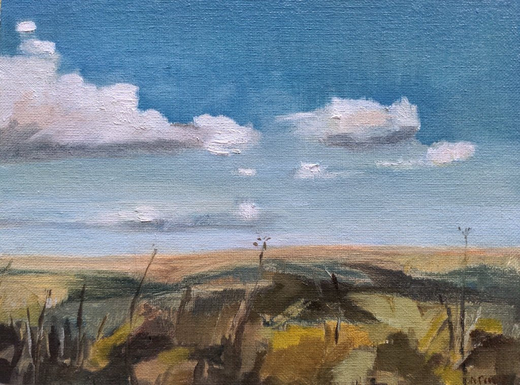 I Spy - Nancy Crewe - Beside The Wave