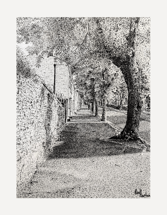 Killigrew Street - Alex Haxton - Beside The Wave