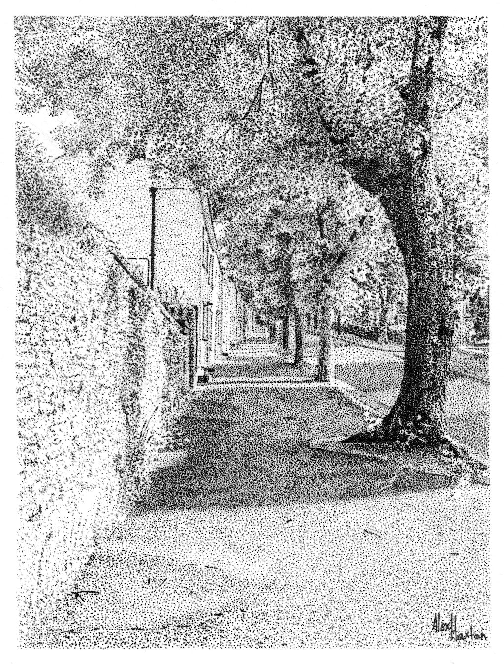 Killigrew Street - Alex Haxton - Beside The Wave